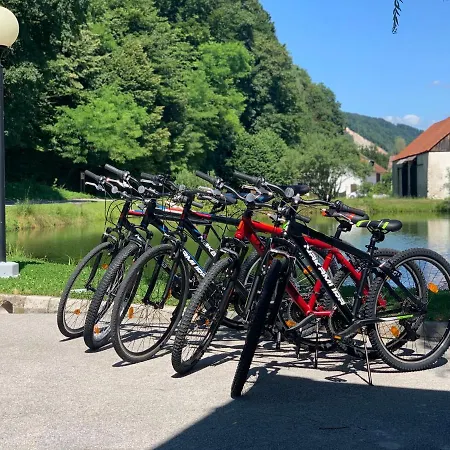 Kozjanski Dvor Hotell Podčetrtek