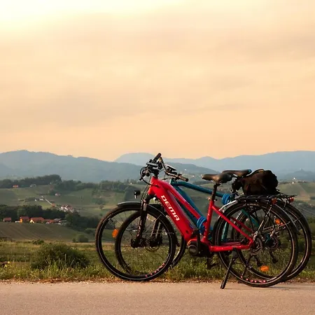 Kozjanski Dvor 3* Podčetrtek