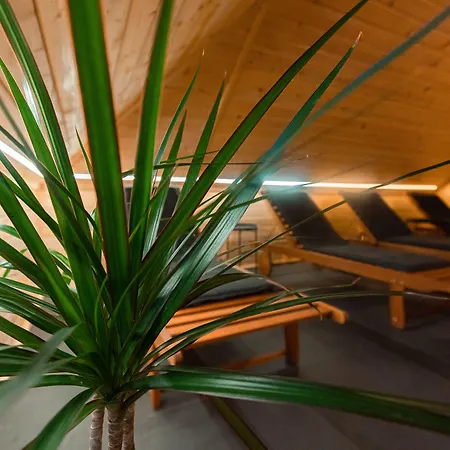 Kozjanski Dvor Hotel 3*