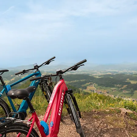 Kozjanski Dvor 3* Podcetrtek