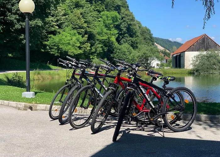 Kozjanski Dvor Hotel Podčetrtek