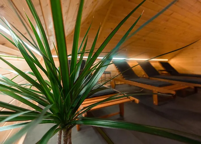 Kozjanski Dvor 酒店