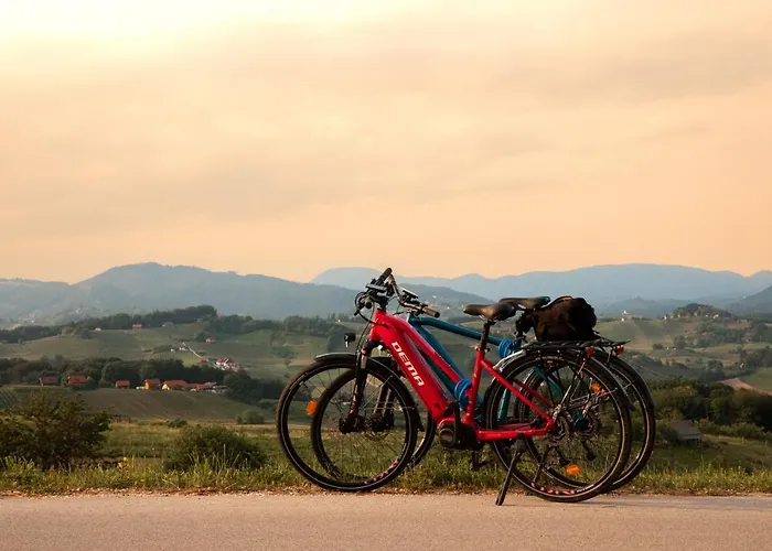 Kozjanski Dvor 3* Podčetrtek